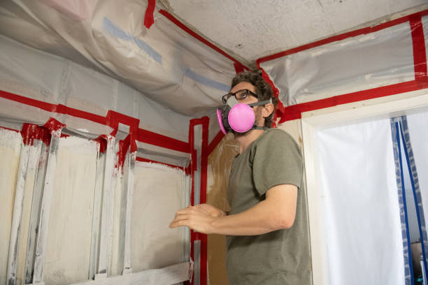 Best Mold Remediation for Rental Properties  in USA